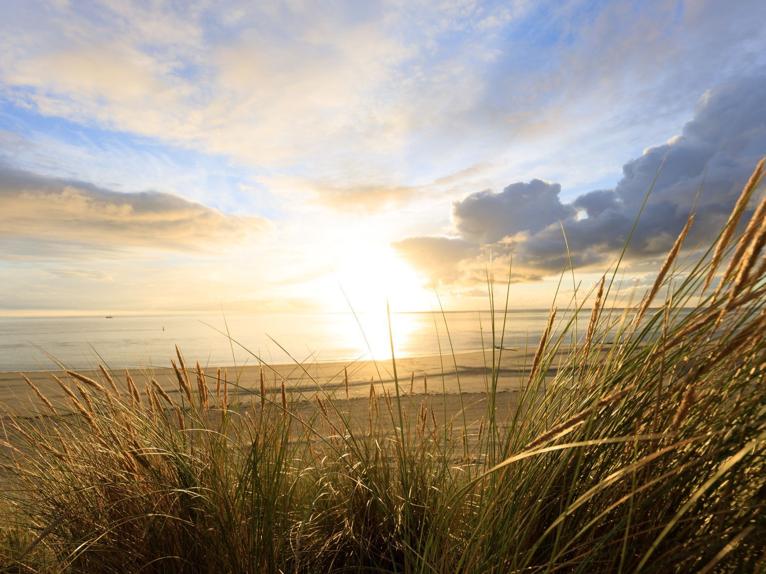 ProefRoute Ameland November Kunstmaand - Webshop VVV Ameland