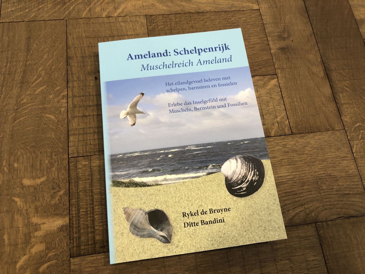 Ameland: schelpenrijk - webshop VVV Ameland