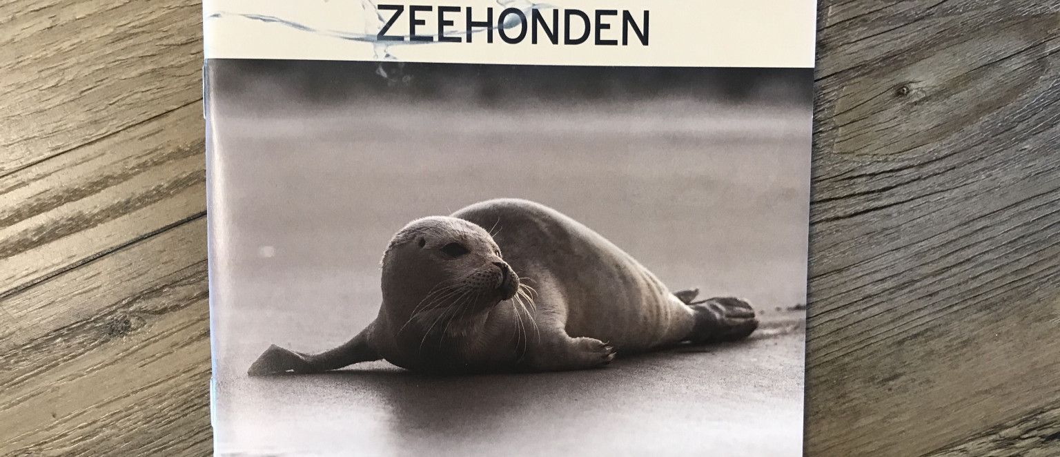 Zeehonden, dieren van de Waddenzee - webshop VVV Ameland