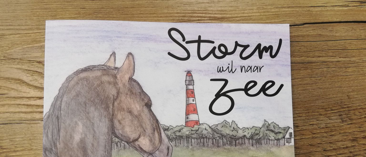 Storm wil naar Zee - webshop VVV Ameland