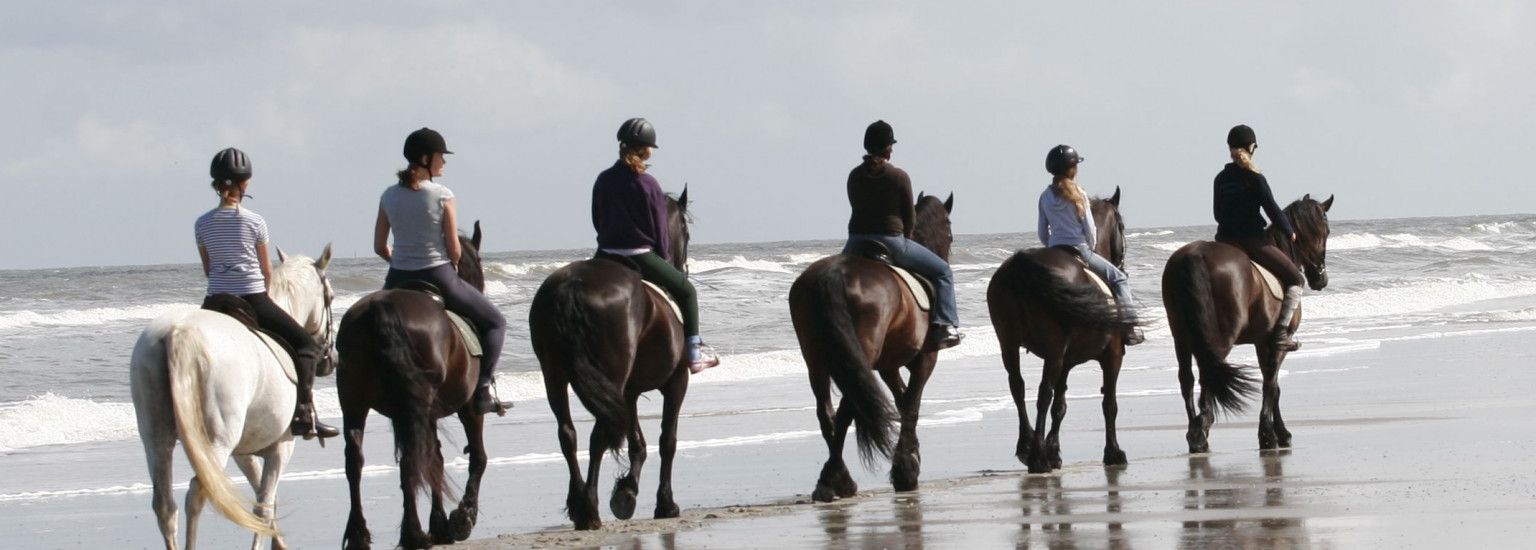 Rijstal 't Jutterspad - VVV Ameland