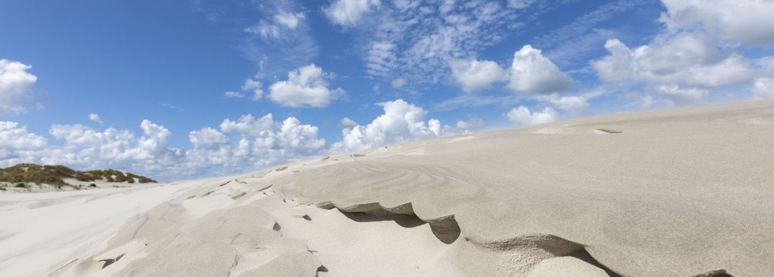 Strand- en schelpenexcursie - VVV Ameland