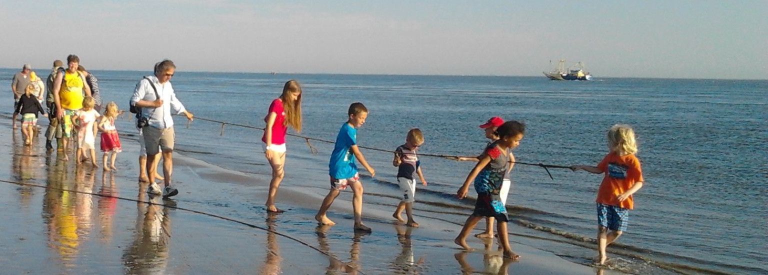 Vissen met een kornet aan het strand - VVV Ameland