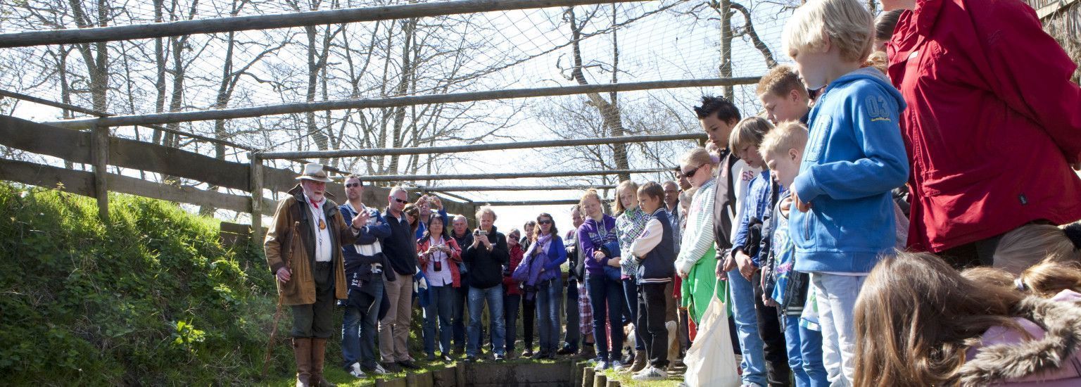 Eendenkooi excursie - VVV Ameland