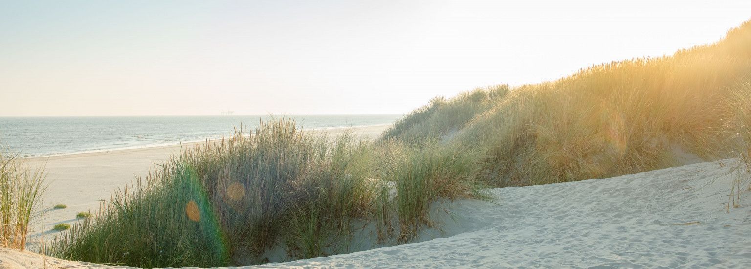 Ameland - Schiermonnikoog eiland- en waddenhoppen - VVV Ameland