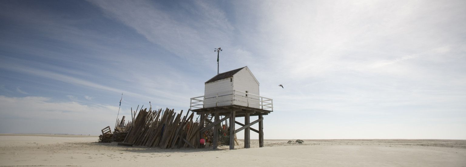 Ameland - Vlieland eiland- en waddenhoppen - VVV Ameland