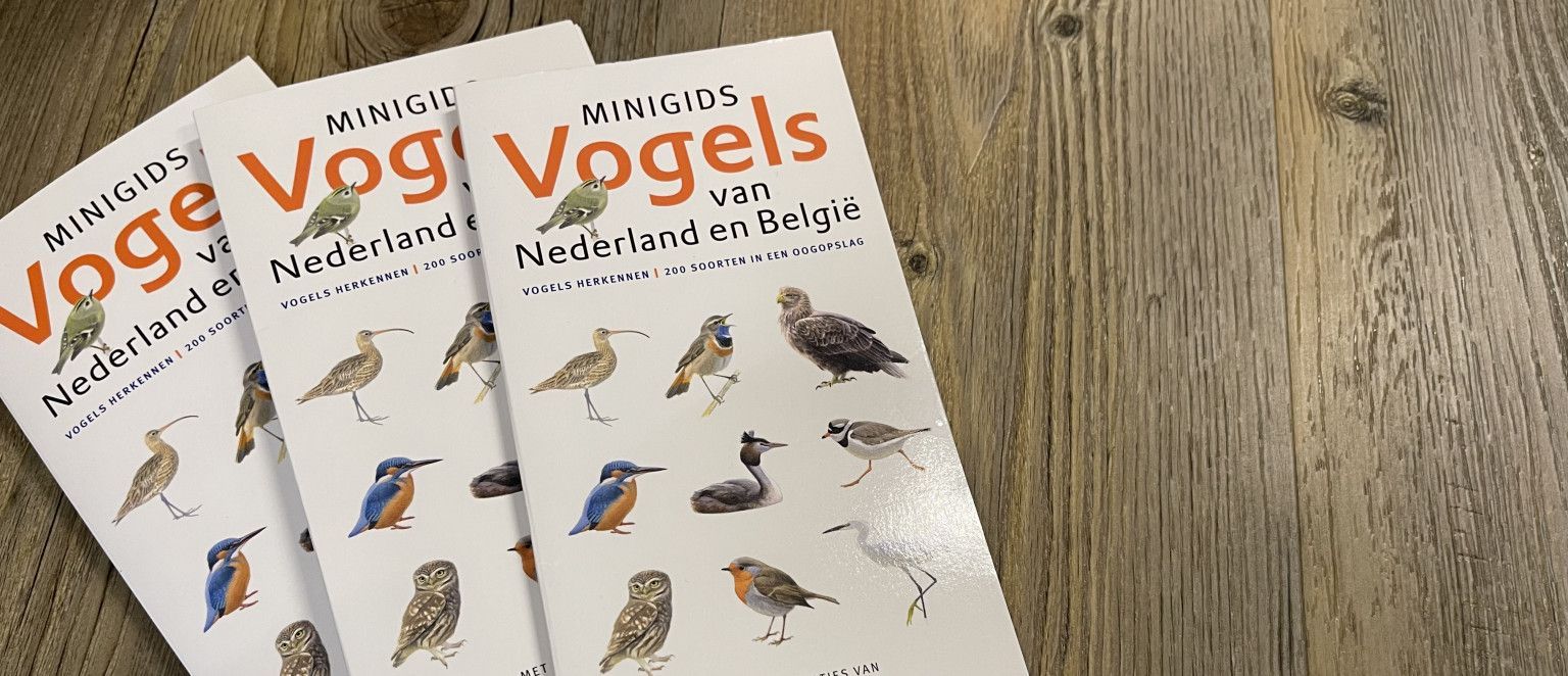 Minigids/Natuurwijzer Vogels van Nederland en België - Webshop VVV Ameland