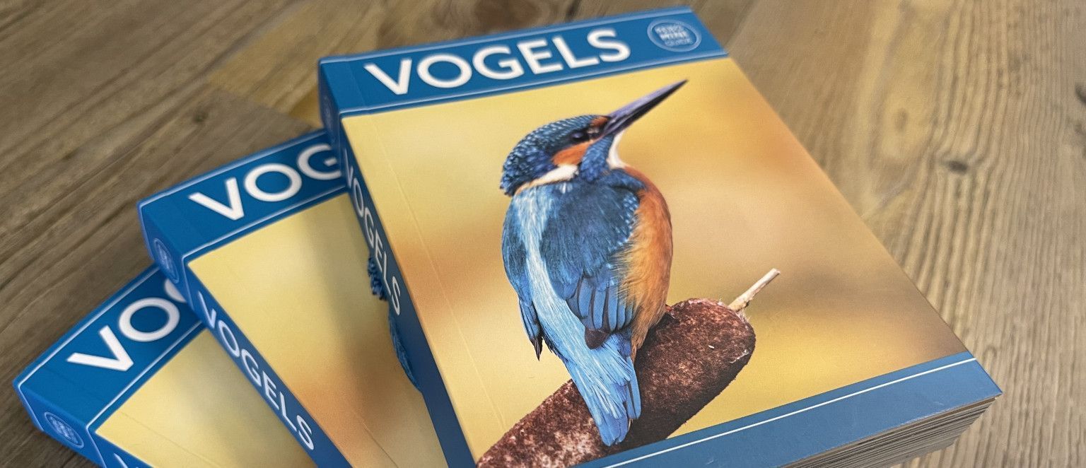 Mini Guide Vogels - Webshop VVV Ameland