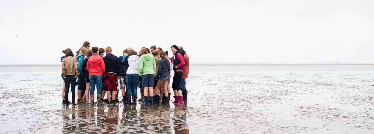 Excursies op Ameland - VVV Ameland