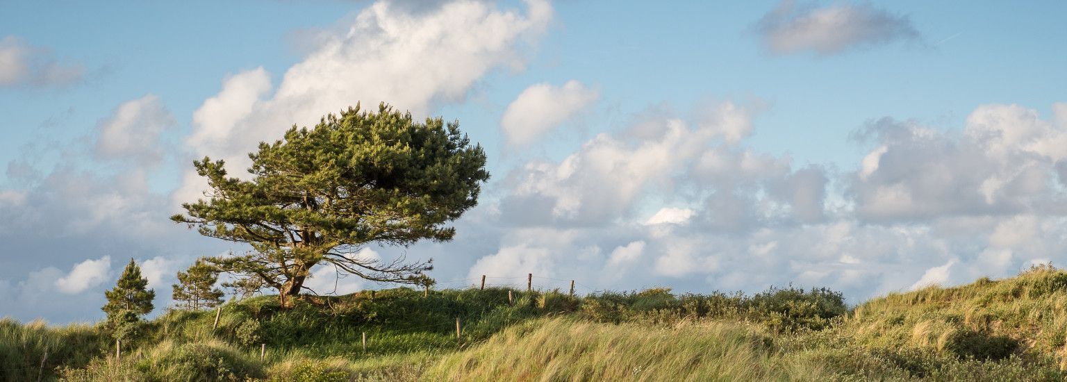 Privacy -  VVV Ameland