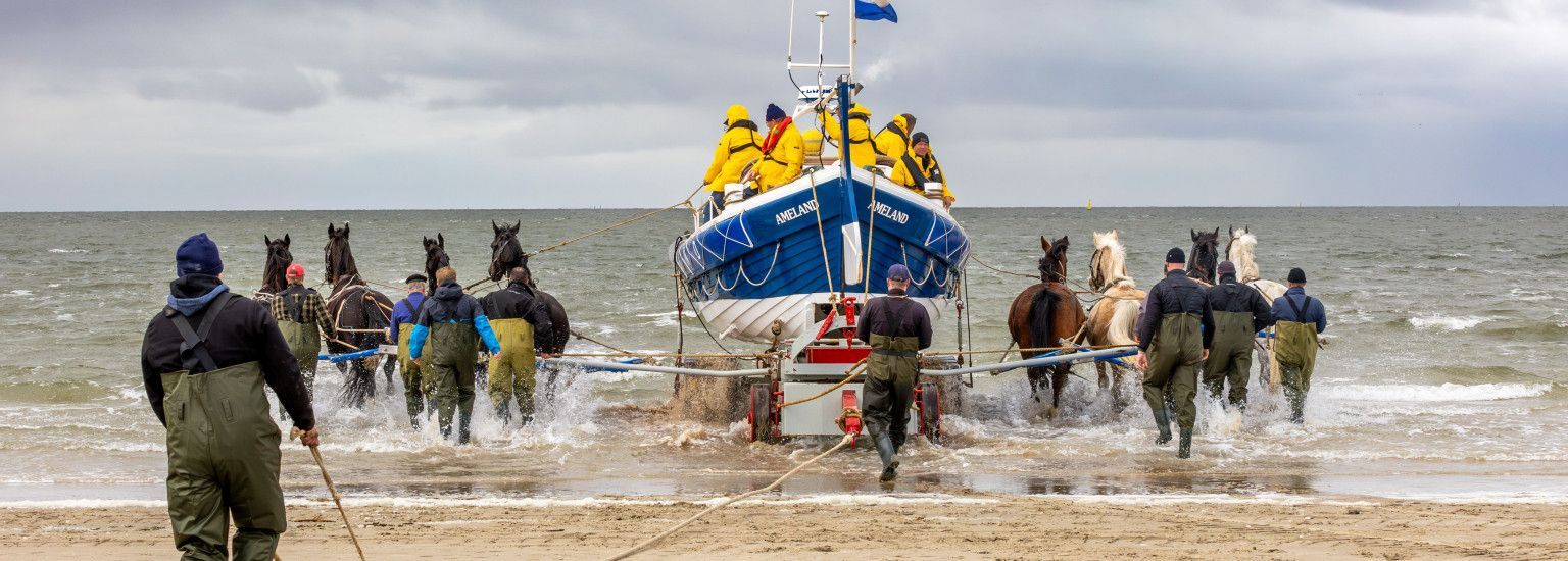 Demonstratie paardenreddingsboot Ameland - VVV Ameland