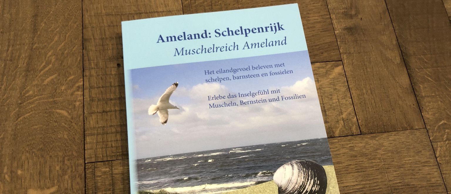 Ameland: schelpenrijk - webshop VVV Ameland