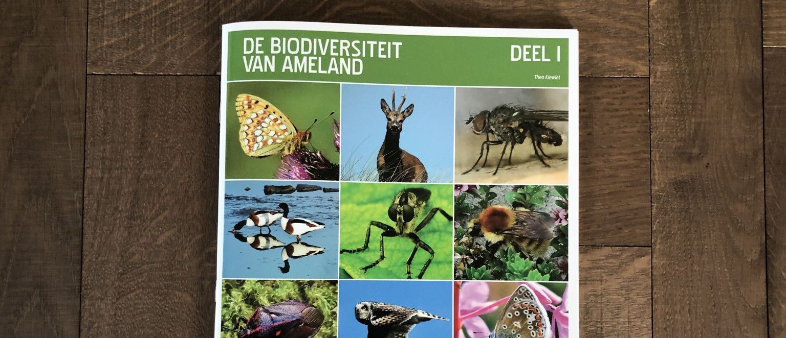 De biodiversiteit van Ameland - webshop VVV Ameland