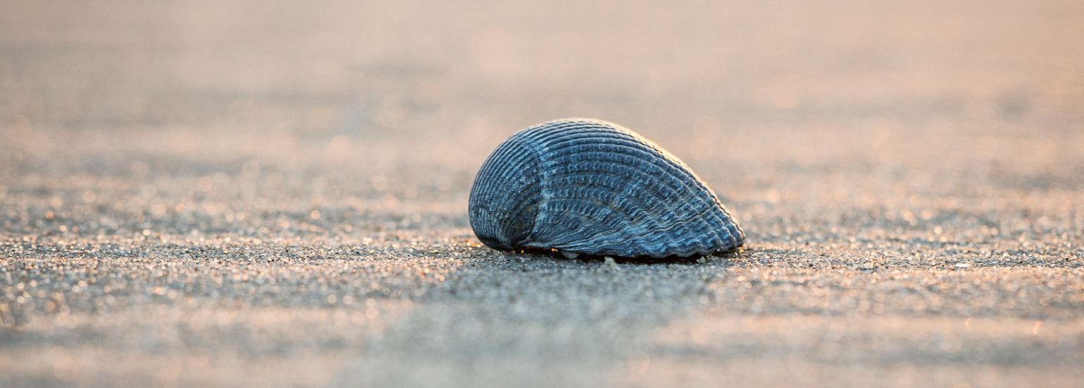 Drogisterij Parfumerie Kienstra  - VVV Ameland