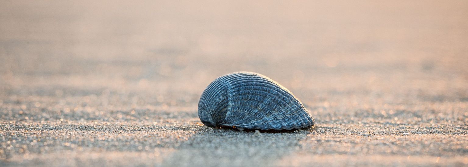 Drogisterij Parfumerie Kienstra - VVV Ameland