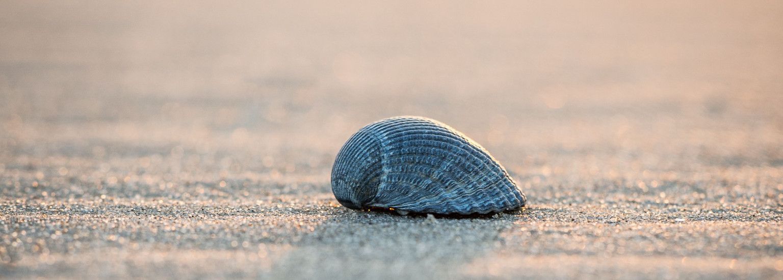 Radio Boelens - VVV Ameland