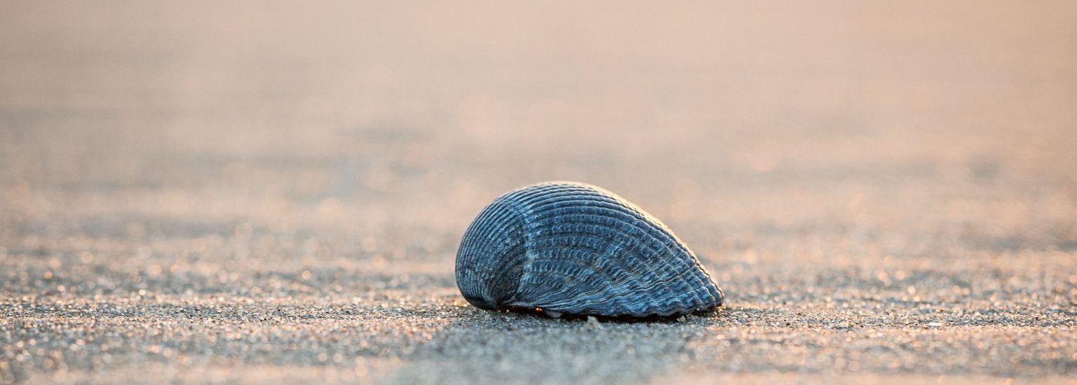 Drogisterij Parfumerie Kienstra - VVV Ameland