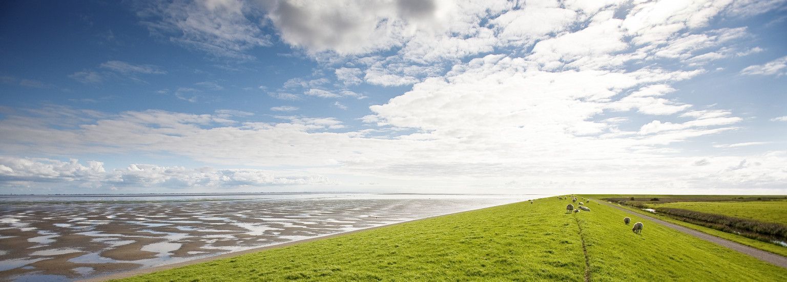 Taxivervoer - VVV Ameland