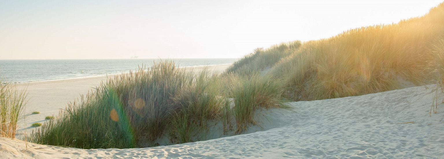 Ameland - Schiermonnikoog eiland- en waddenhoppen - VVV Ameland