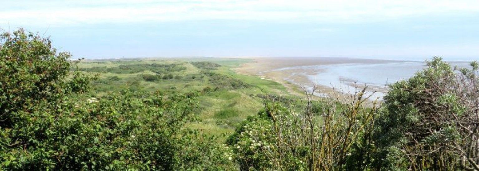 Natuur Ameland - VVV Ameland