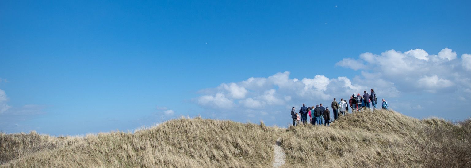 Programma VVV Ameland - VVV Ameland