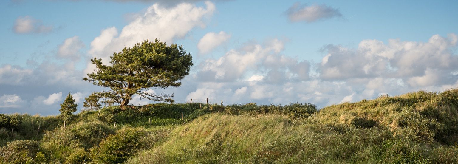 Flexboekverzoek - VVV Ameland