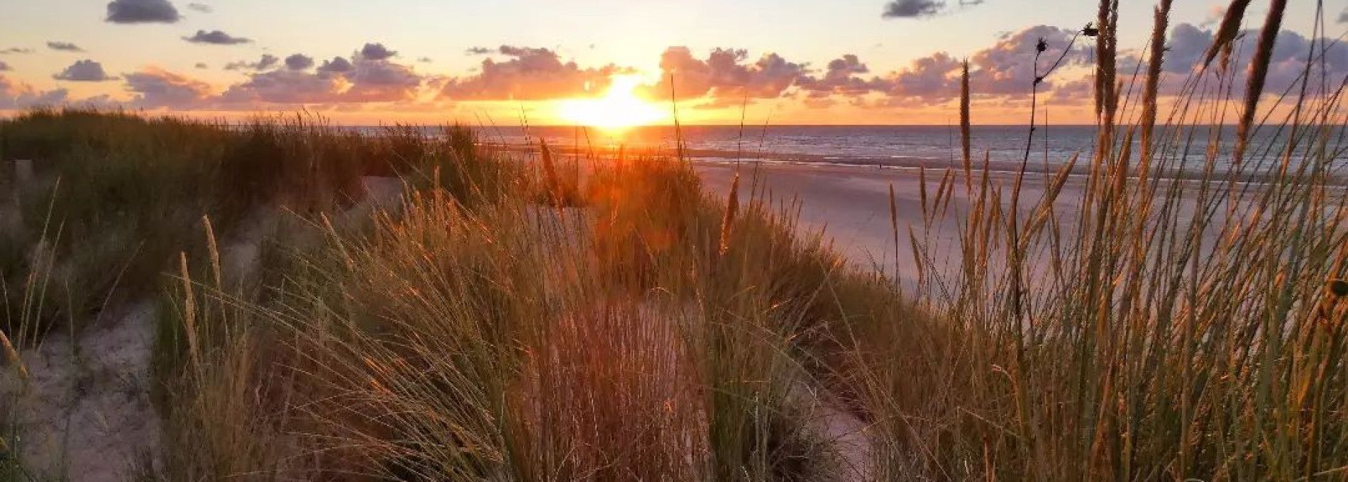 Prijzen en onderscheidingen - VVV Ameland