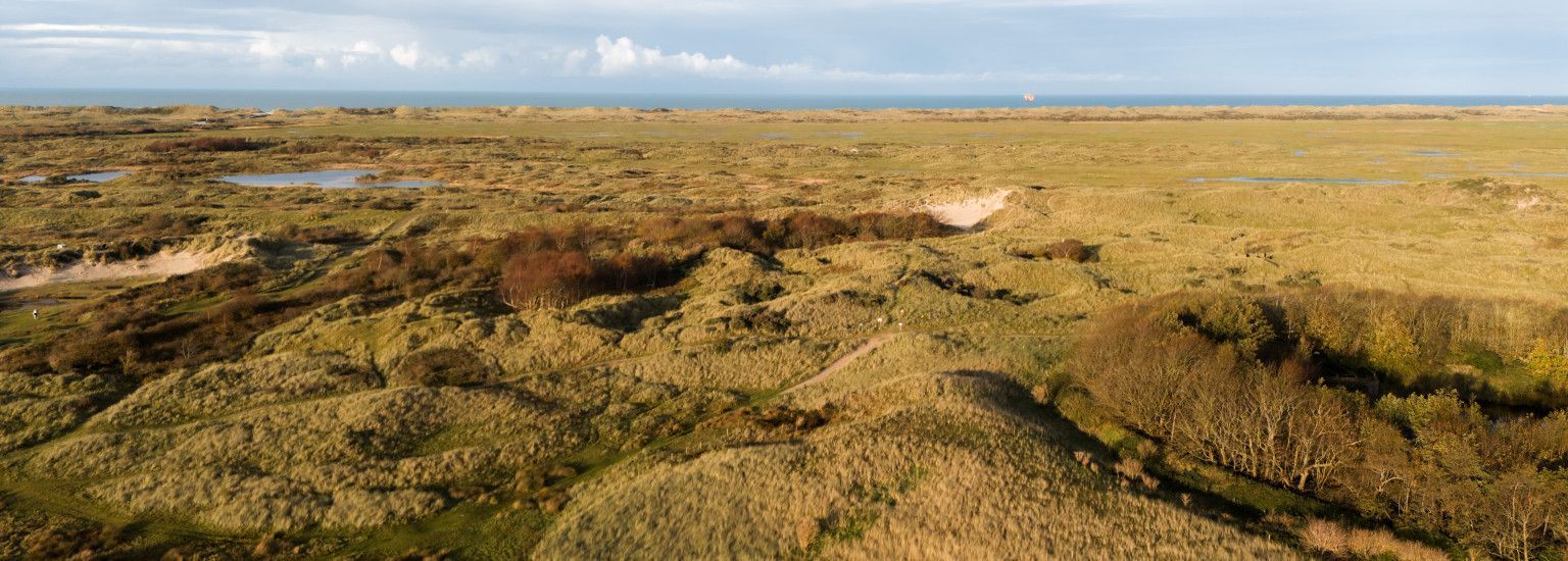 Kunstroutewandeling in de Kooiduinen - VVV Ameland