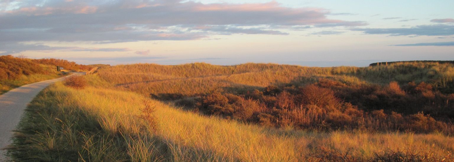 Literaire avonden Kunstmaand Ameland - VVV Ameland