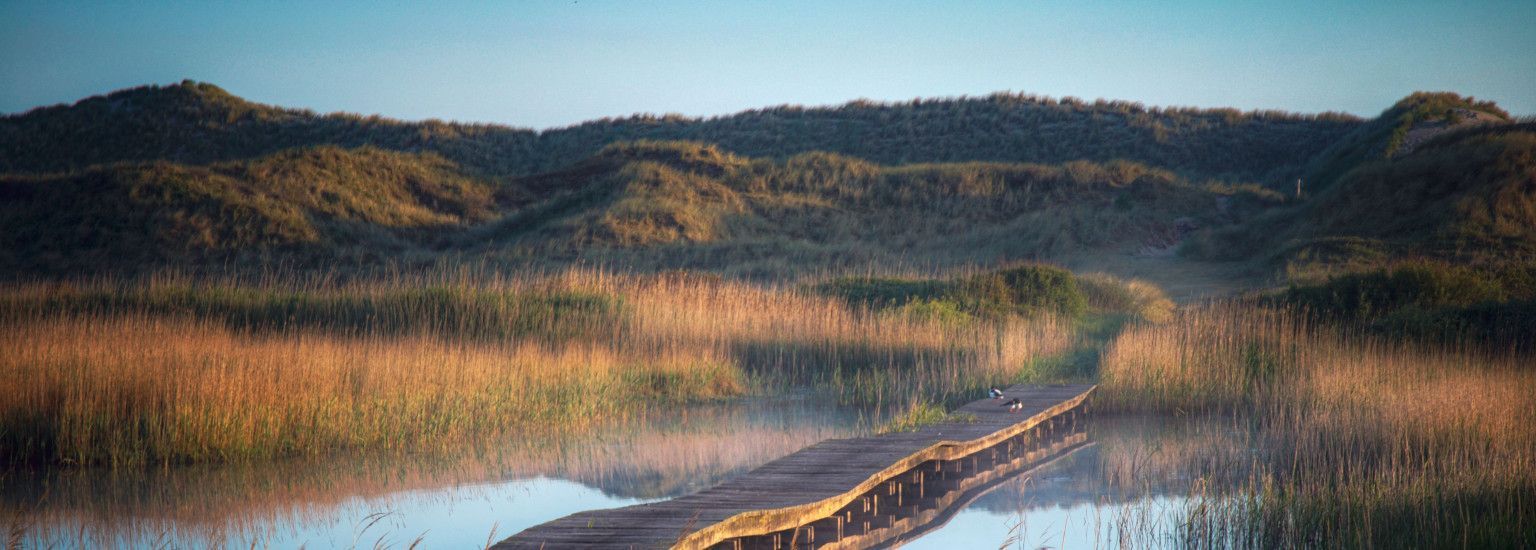 Daar waar de locals komen - Ameland tips van onze VVV collega's - VVV Ameland