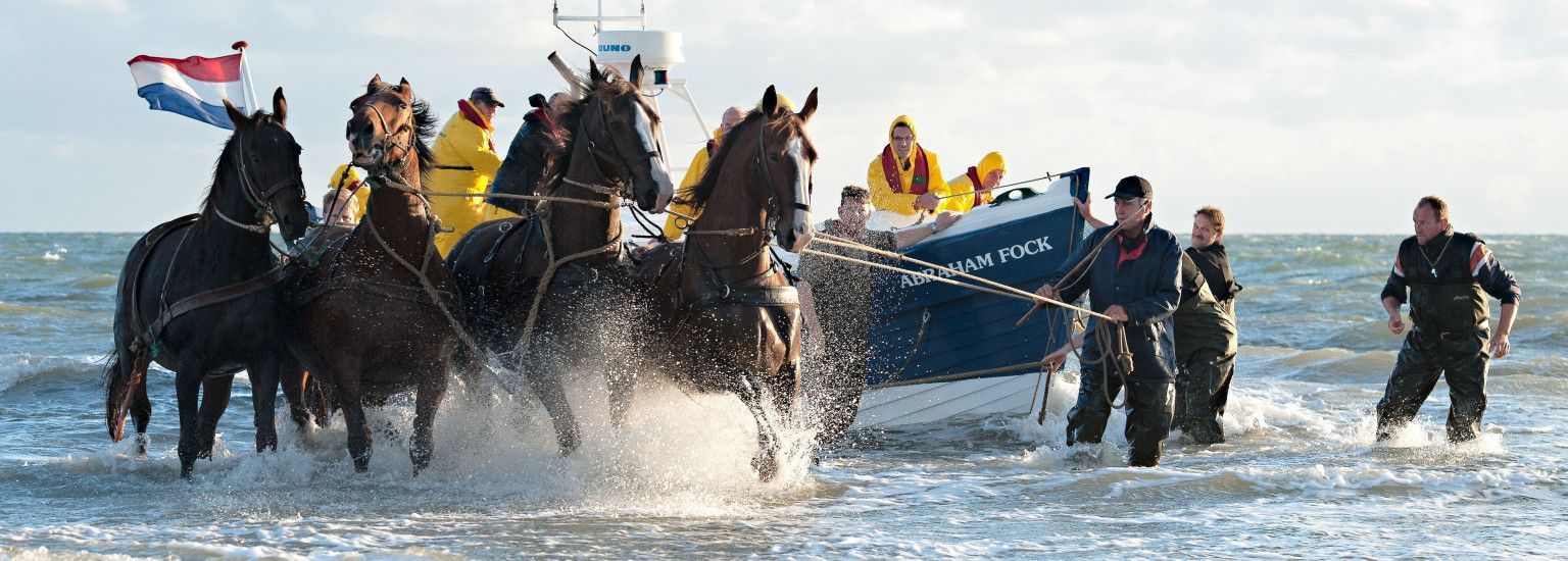 Demonstratie paardenreddingboot - VVV Ameland