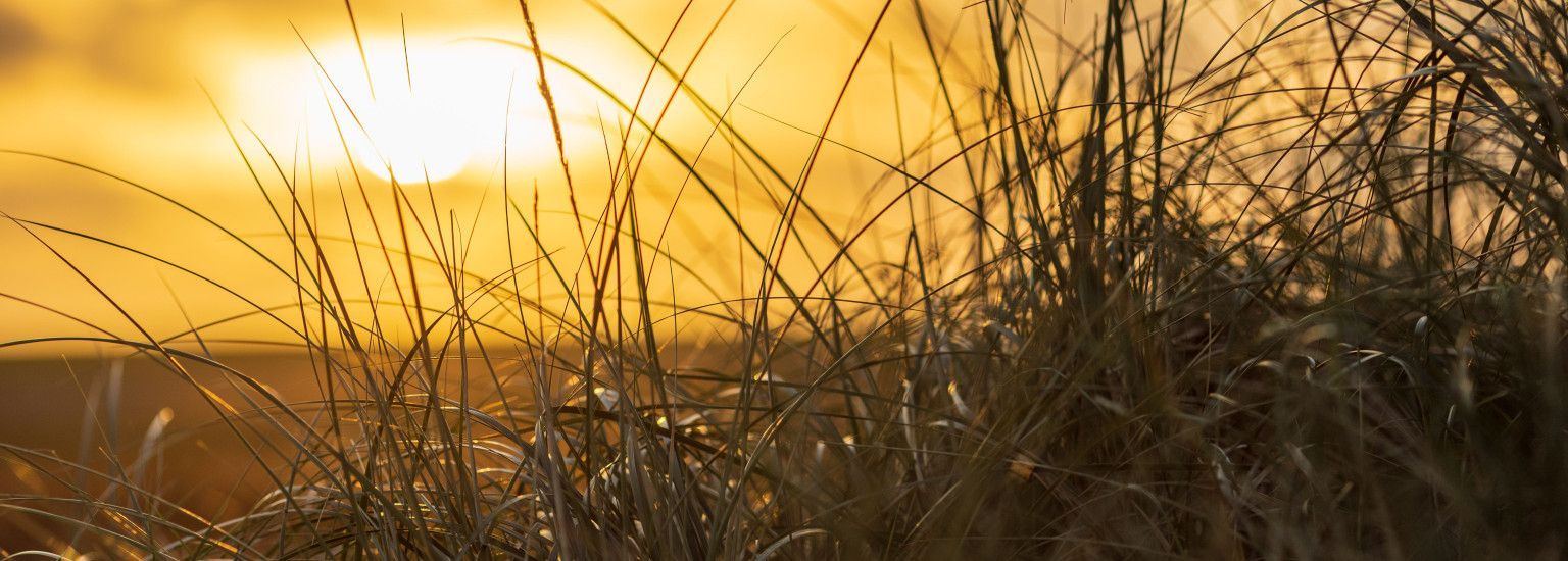 Amelander tradities en gebruiken - VVV Ameland