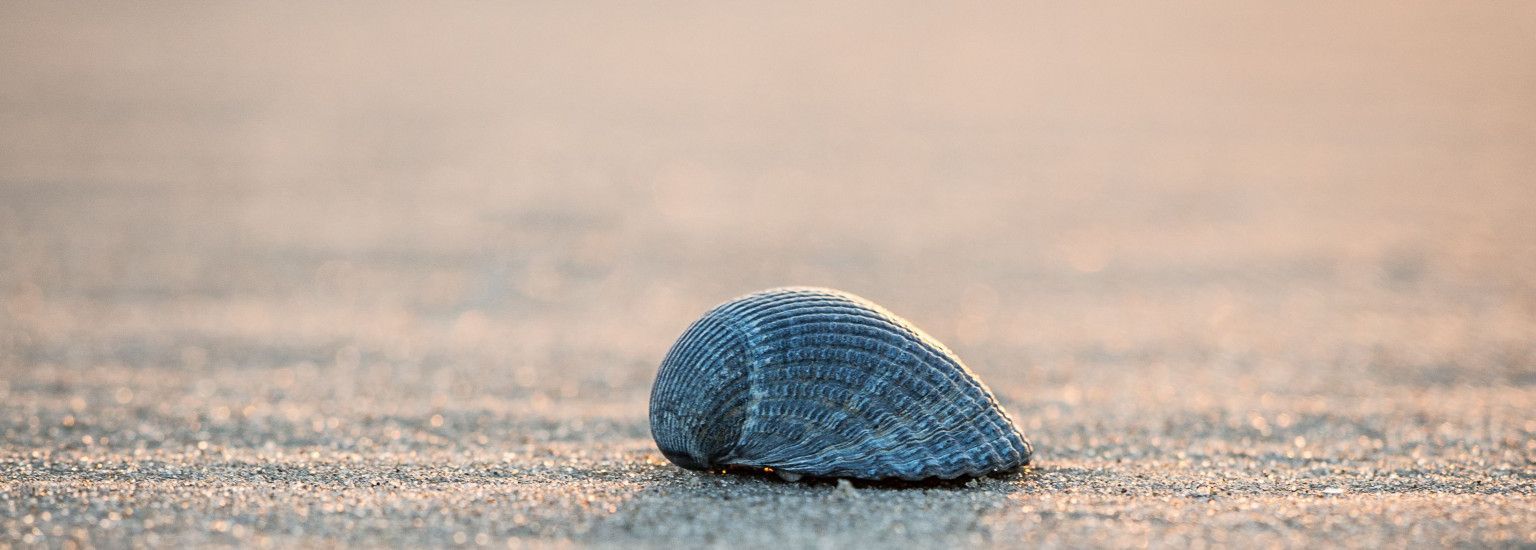 Ameland, een levende historie - VVV Ameland