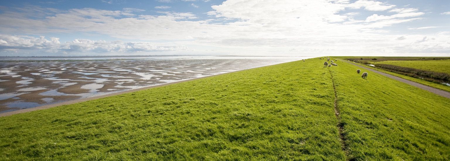 De stormvloed van 1825 - VVV Ameland