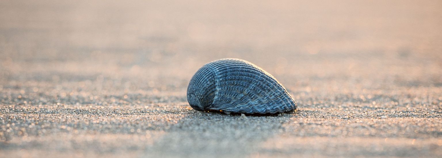 Lezing: Ameland & Multatuli - VVV Ameland