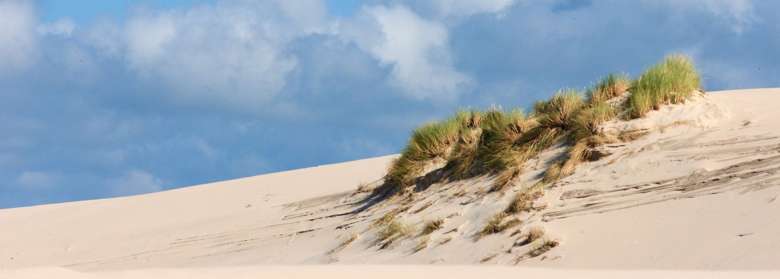 Lente op Ameland: jouw ultieme voorjaarsuitje - VVV Ameland