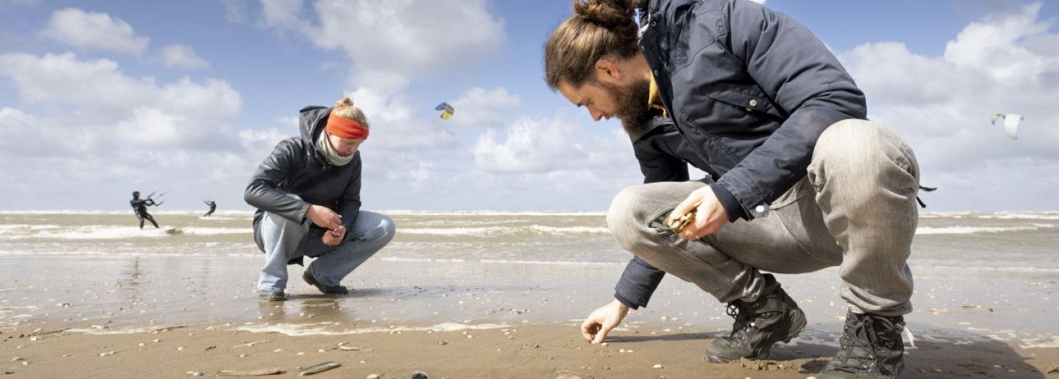 Schelpenteldag  - VVV Ameland