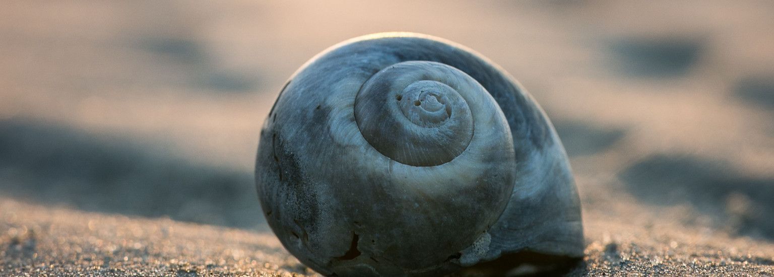 Marjan - VVV Ameland