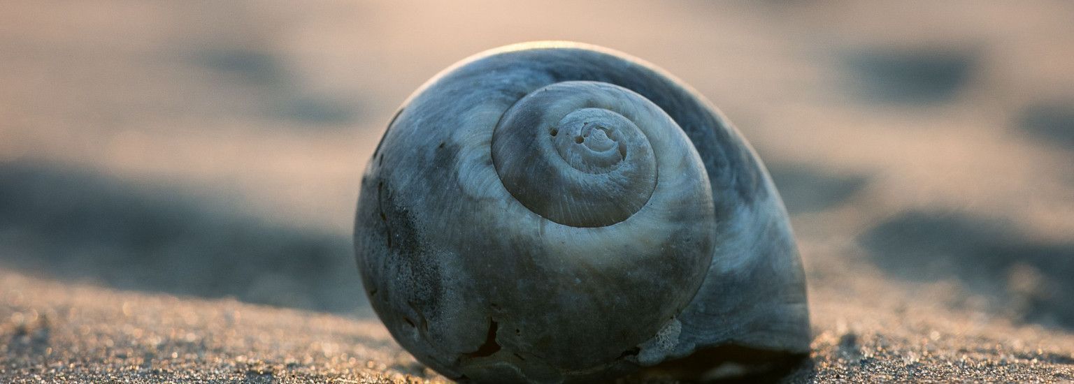 De Akelei R9 - VVV Ameland