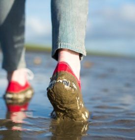 Wandelen op het Wad - VVV Ameland