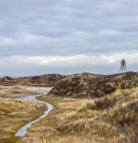 10x de leukste activiteiten op Ameland tijdens de kerstvakantie- VVV Ameland