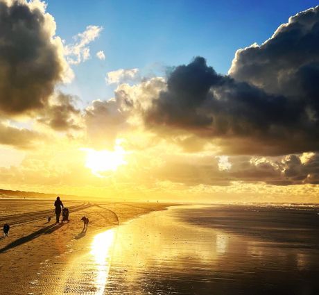 Goede voornemens? Begin op Ameland! - VVV Ameland