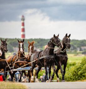 Vriendenloterij Museumprijs 2024 - VVV Ameland