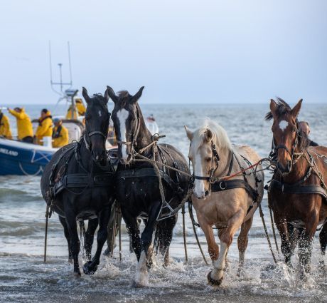 10x de leukste activiteiten op Ameland tijdens de kerstvakantie- VVV Ameland