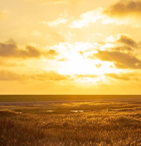 Herfst en najaar op Ameland - VVV Ameland