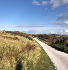 Door de duinen - VVV Ameland