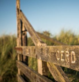 Oerd en Hôn - VVV Ameland