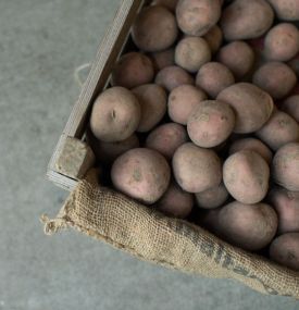 Aardappelhandel De Suihoek - VVV Ameland