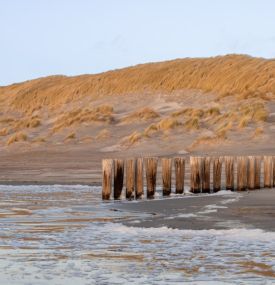 10x de leukste activiteiten op Ameland tijdens de kerstvakantie- VVV Ameland