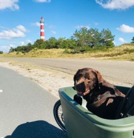 Met de hond naar Ameland - fietsen - VVV Ameland